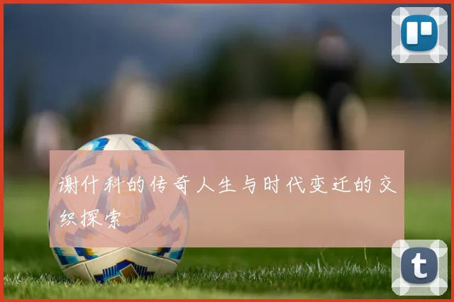 谢什科的传奇人生与时代变迁的交织探索
